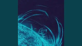 solar flares