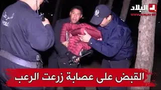 أمن سيدي بلعباس يطيح باخطر عصابة احياء زرعت الرعب بين السكان