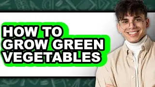 How To Grow Green Vegetables - Step By Step