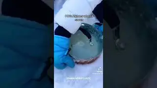 POV: afghans when it snows ❄️🍧 #snow #icecream #afghan
