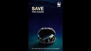 POSTER Manipulation Editing - Environmental Protection