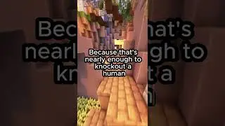 Top 5 animal abilities