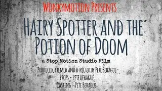 Hairy Spotter and the Potion of Doom - a Wonkymotion Stop Motion Film