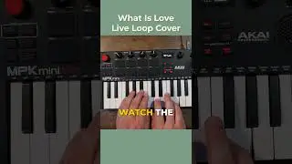 What is Love &ndash; Live Loop Cover (Akai MPK)