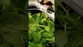 Spinach 101 | How to Wash and Store 🌱 #youtubeshort