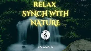 || RELAX - SYNCH WITH NATURE || BIG WIZARD #bigwizard #instrumental #organic #nature #mumbai #india