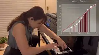 VSL Synchron D-274 Velocity Curve Test (