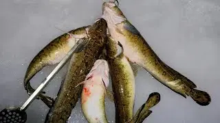 KALASTUSMATKAILUA ITÄRAJALLA | Madekuiskaaja Fishing Unlocked