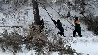 Чистка ЛЭП мужиками Юромской ДЭС.