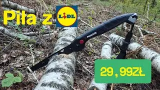 Test piły z Lidla. Tania, ale czy tnie tanio?