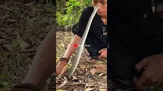 ULAR KAYU