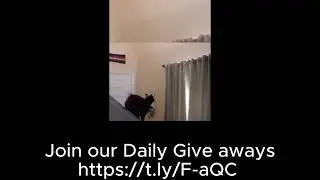 #PawsAndLaughs#DoggyDoseOfFunny#CanineComedy#PuppyGiggles#HilariousHounds#BarkOutLoud.funny dogs.