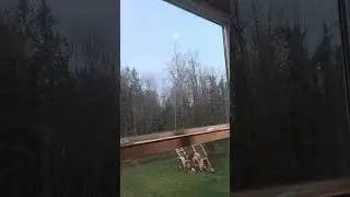 -big house view from my living room upstairs-
