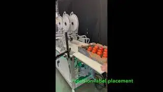 LABELPAC Tray Labeling Solutions