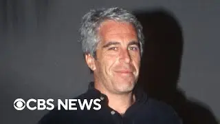 Justice Department releases more Epstein files, journalist Don Lemon arrested and more | The Takeout