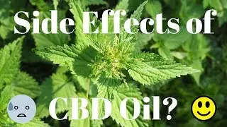 Side Effects of CBD Oil