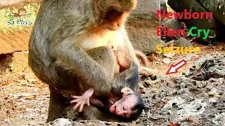 Newborn Ellen Cries Angry Mom Elsa So Much, Why Mom Mom Give Warm Hug Me?