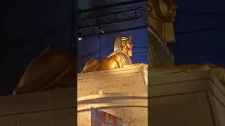 Lion Statue ❤️🇺🇸 #shorts #lionstatue #casino #oklahoma #usashorts #usa #shortsfeed #trendingshorts