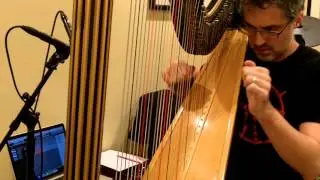 Harp Compare - Salvi Daphne - Lyon & Healy Style 15