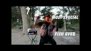 Fish Stories 7 By: Jeff Reylee