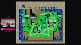 Super Mario World - All Castles PB - [2:18:13]