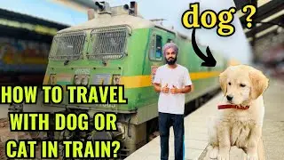 How to Travel with Dog or Cat in Indian Train? | Full Guide for Pet Owners 🚆🐶
