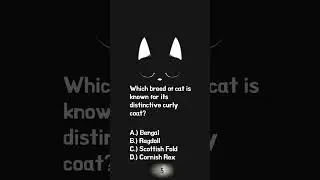 Cat Trivia 0010 #cat #cattrivia #cute #trivia #triviaaddict #catlover #funtrivia #kitten #triviatime