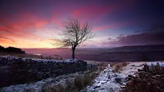 Thomas Loefke - Rime on the Moor