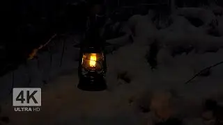 Lantern in a dark snowy forest 4K ❄️ Kerosene lamp