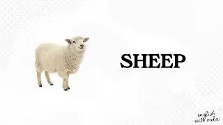 ENGLISH VOCABULARY: ANIMALS! Learn animal names A1 Level