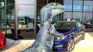 Metro Kia Of Madison I  Happy Halloween I Dancing Dino