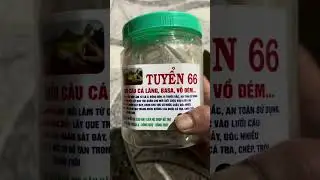 Catfish bait #trend #fishing