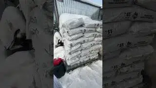 Получение корма перед НГ 🤗
