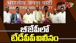 TDP Rajya Sabha MPs Joined BJP in Presence of Working President JP Nadda | NTV