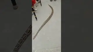 konda siluva