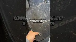#cardetailing #detailing #detail #satisfying #detailingworld #clean #disaster