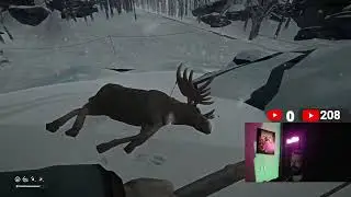 Moose Killing | The Long Dark Moose Hunting