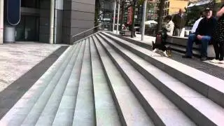 More clever dog plays fetch with himself