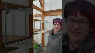 Farmer rigged shelf!