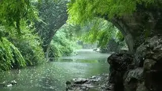 Nature sounds to learn