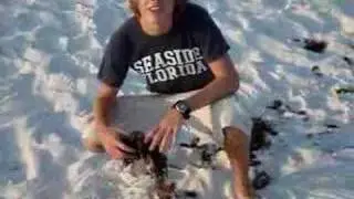 SeaWeed