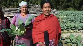 IPM Training at Ekatabasti, Ward No. 6 Panchkhal Municipality, Kavre