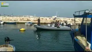 Bari, liberata area occupata abusivamente al porto: rimosse 8 barche usate da pescatori di frodo