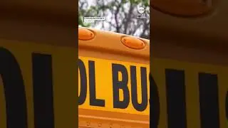 School bus driver abandons 40 kids on side of road