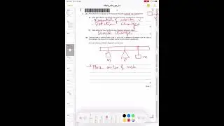 IGCSE Physics Paper 0625/41-May/June 2025-CIE-Question2 solution(resultant Force on moving object)