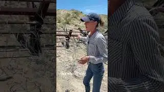 El Paso sector still hotspot for migrant, cartel encounters