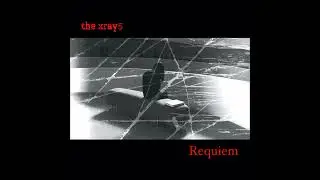 The XRAY5 - Torn