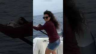 Deep Sea Fishing 🎣 #fishingusa #fishing #fishingadventure #sportfishing #deepseafish #fish #ocean