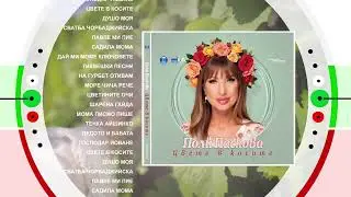 PAYNER CHANNEL - ADS (August 2025) | Video 2025
