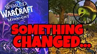 The Future of WoW & The END of Turtle WoW?!